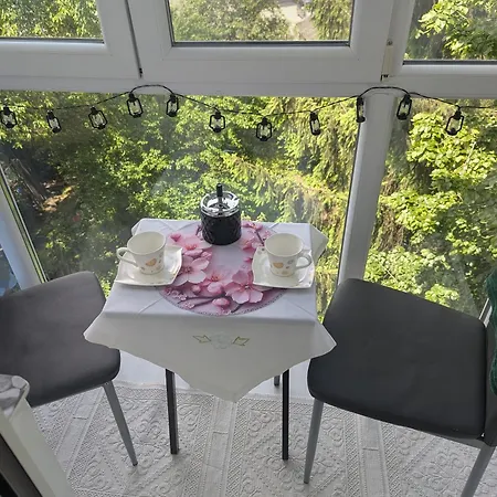 Apartment Edmay Byrelax Sighetu Marmatiei